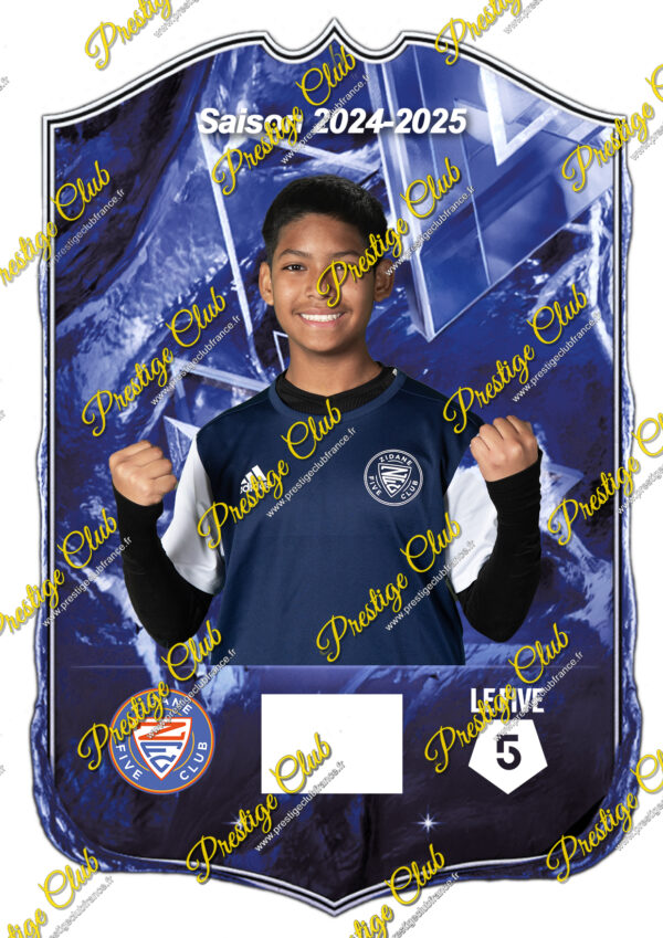 Formule Prestige  PEREZ MARVIN – Image 2