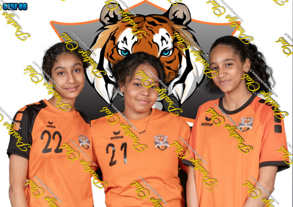 Formule Prestige 1 & 2  &3 SISSOKO   INAYA – Image 2