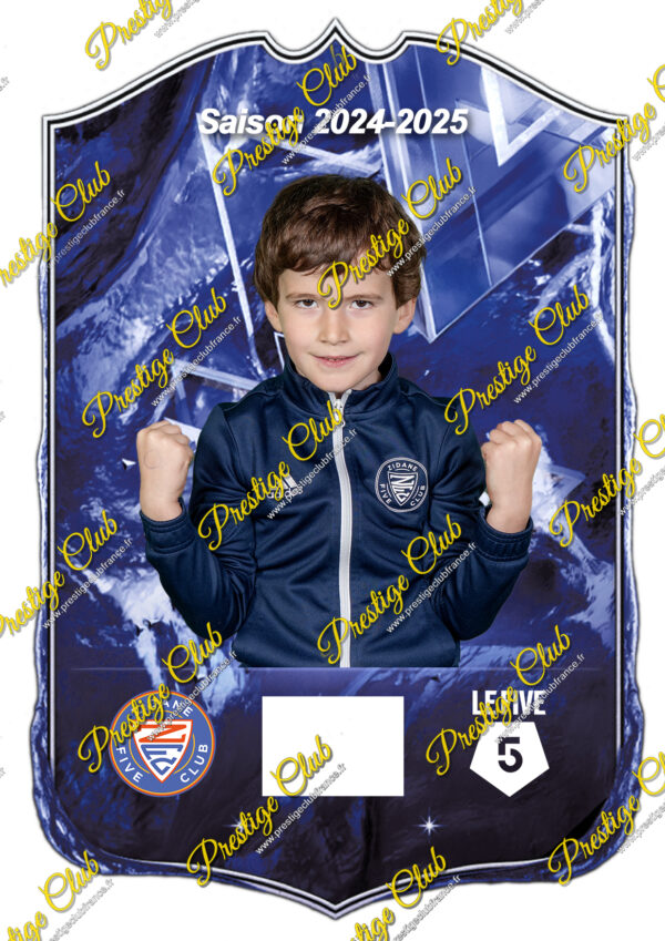 Formule Prestige  SALTIEL JACQUE – Image 5