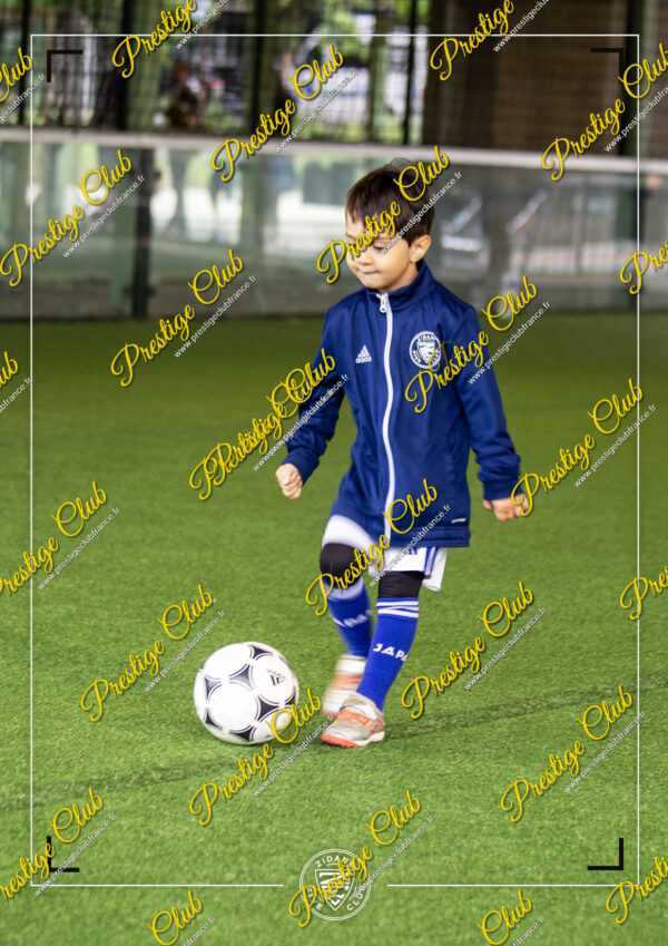 Formule Prestige VIOUT ISSEI – Image 2